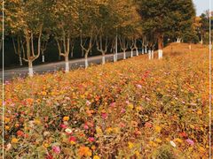 -钟山体育运动公园
