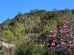 -雁南飞茶田景区