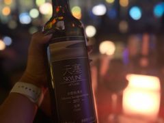 -罗斯福色戒酒吧(外滩店)