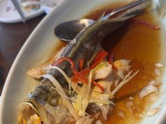 -前海沿·青岛菜(李沧万达店)