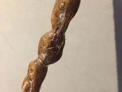 -掌柜的店·河南菜(新天地店)