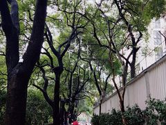-Tims天好咖啡·贝果(杭州东站店)