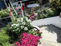 -秦岭终南山世界地质公园翠华山景区