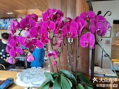-SUSU·苏苏(四合院创始店)