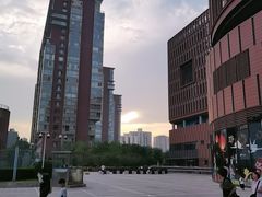 -中国宋庆龄青少年科技文化交流中心