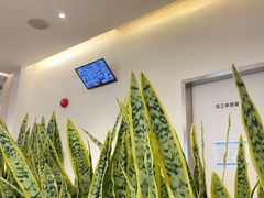 -卡朋西餐(铂顿城店)