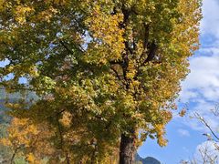 -鸡枕山