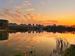 -洋湖国家湿地公园