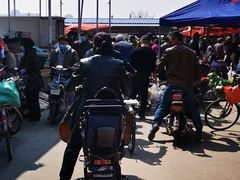 -何庄子阿米玛玛农产品批发市场