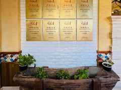 -巴依老爷新疆美食(望京小街店)