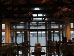 -影吧•悬崖海景(珠海凤凰湾悦椿酒店)