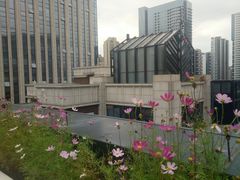 -瓦库茶馆17号(海汇港店)