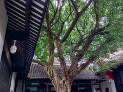 -白帝城·瞿塘峡景区