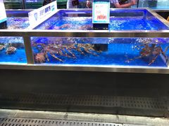 -盒马X会员店(王府井奥莱UP TOWN店)