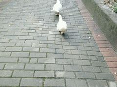 -咸宁万豪温泉谷度假区