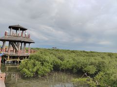 -北海金海湾红树林生态旅游区