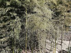 -良渚古城遗址公园