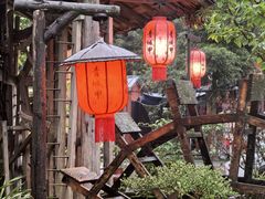 -青城甲(青城山店)