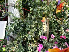 -广西壮族自治区药用植物园