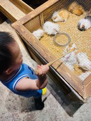 -酷嗒动物文化乐园(cutezoo西溪乐天城店)