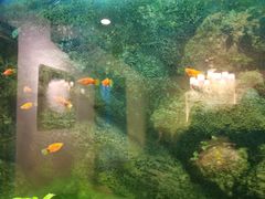 -乔家大院私房菜(海佳云顶店)