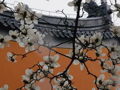 -灵谷景区