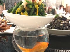 北极冰蚌黄瓜苗-徐记私厨(半淞园路店)