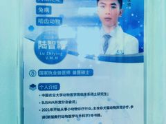 -北京观赏动物医院·24小时大型综合·猫专科·异宠专科