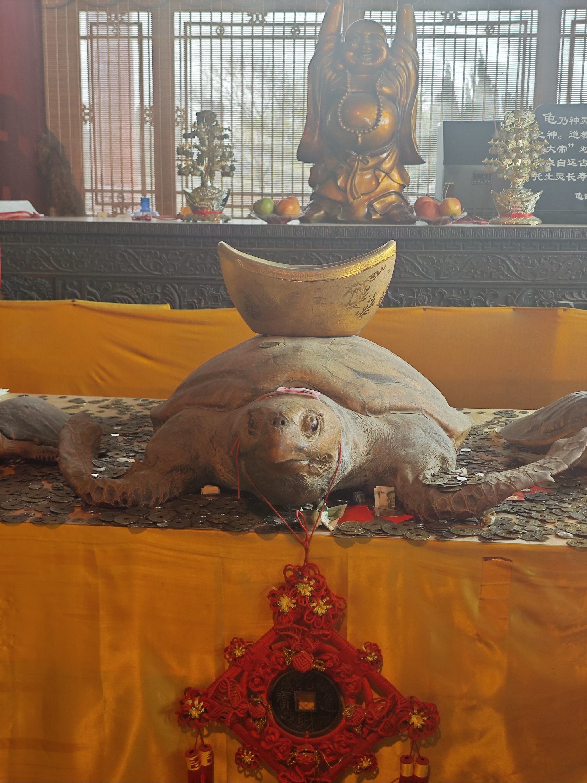 山东蓬莱八仙过海