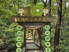 -大岭沟猕猴桃谷风景区