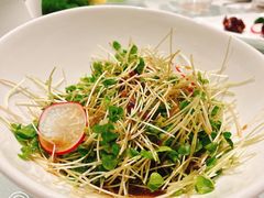 椒油翡翠豆芽-张生记(丁香国际店)