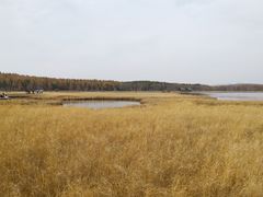 -塞罕坝国家级自然保护区