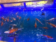 -天虹购物中心(石路店)