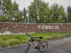 -东郊湿地公园