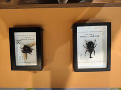 -萌宠奇缘(荣鼎店)