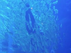 -南昌融创海世界
