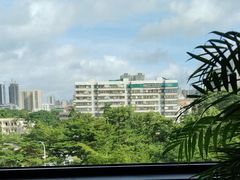 -湛江民大喜来登酒店-采悦轩中餐厅