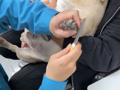 -瑞派宠物医院·24h·骨外科·皮肤科·全科宠物医疗转诊中心(沈阳浑南院)