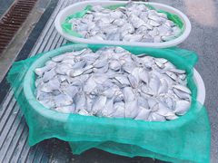 -芦潮港集贸市场