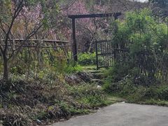 -良渚文化村