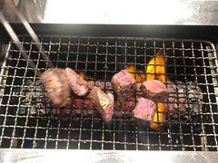 -俺的焼肉(銀座9丁目店)