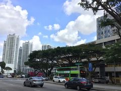 -鱼尾狮公园