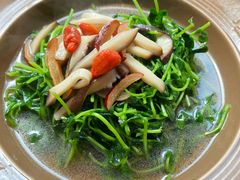 -如禾素食·下午茶·糖水