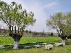 -汉长安城未央宫国家考古遗址公园