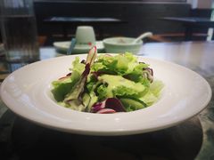 蔬菜沙拉-苏城小院·园林精致苏州菜(斜塘老街店)
