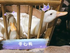 -馬蘭花開(车站大道店)