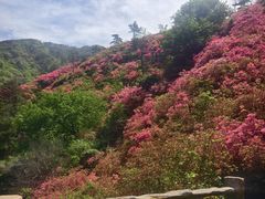 -木兰云雾山