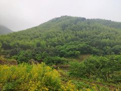 -天姥山