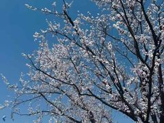 -洨河生态公园