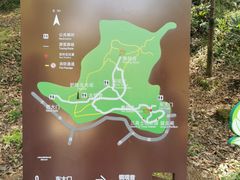 -上海佘山国家森林公园天马山园